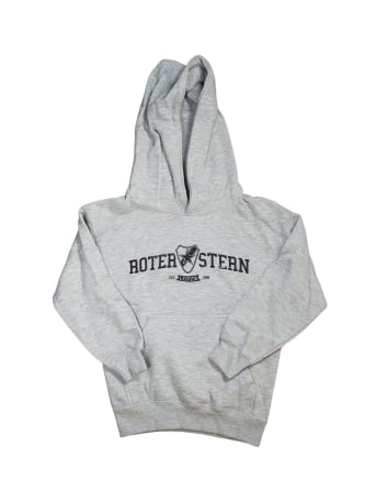 Roter Stern Leipzig - Sweater - Logo Stick - Grey - @ No Borders