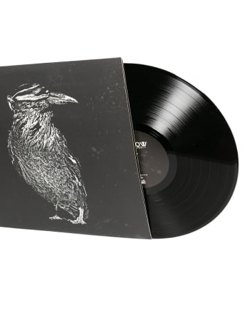 Pascow - Jade - 12" Vinyl LP - @ No Borders
