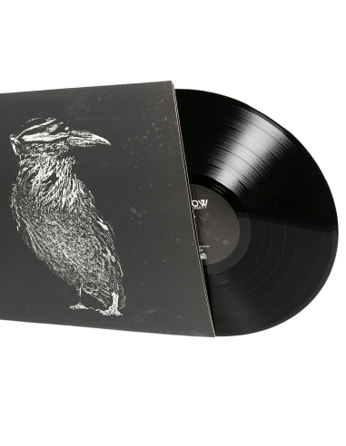 Pascow - Diene der Party - 12" Vinyl LP - @ No Borders