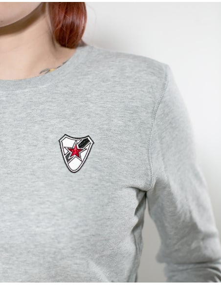 Roter Stern Leipzig - Sweater - Logo Stick - Grey