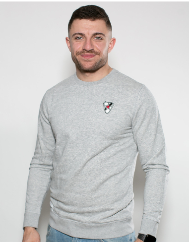 Roter Stern Leipzig - Sweater - Logo Stick - Grey - @ No Borders