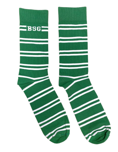 BSG Chemie Leipzig - Socken - Stripes - Green