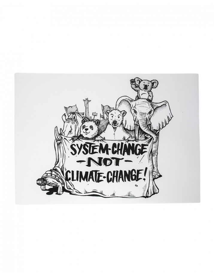 System Change Not Climate Change - Poster