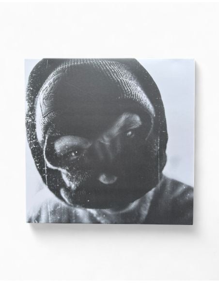 waving-the-guns-schwerter-zu-schusswaffen-cover