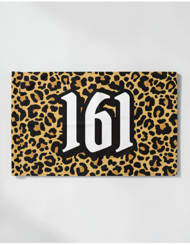 161 - Leo - Flag - @ No Borders